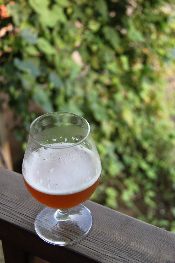 How to Create your Own ‘Beer Garden’