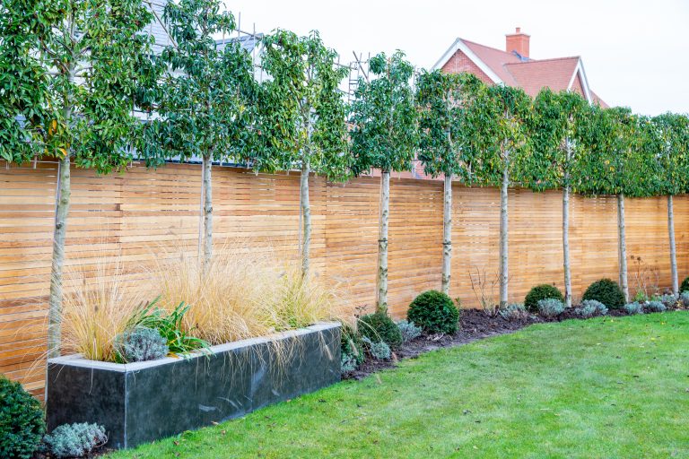 How We Can Make Your Outdoor Space Private – Hedge Addition