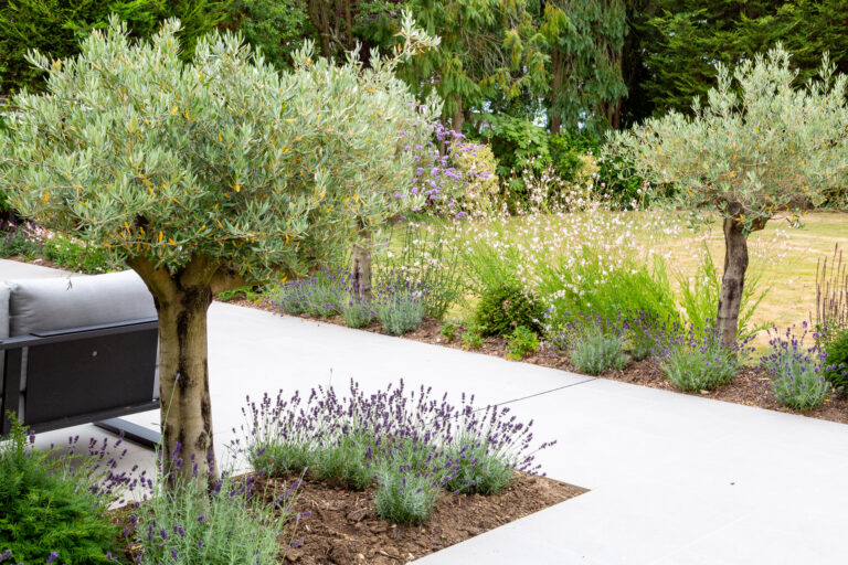 planting design Essex