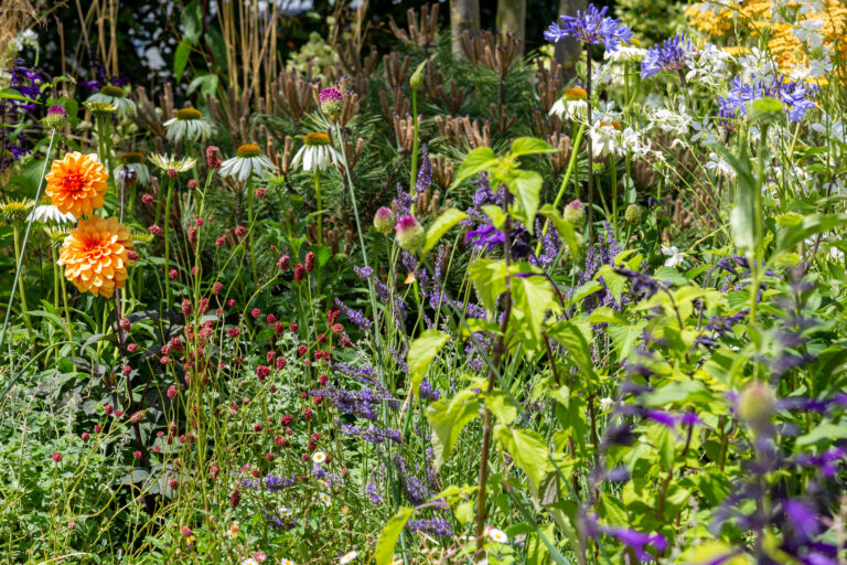 Planting Design Essex