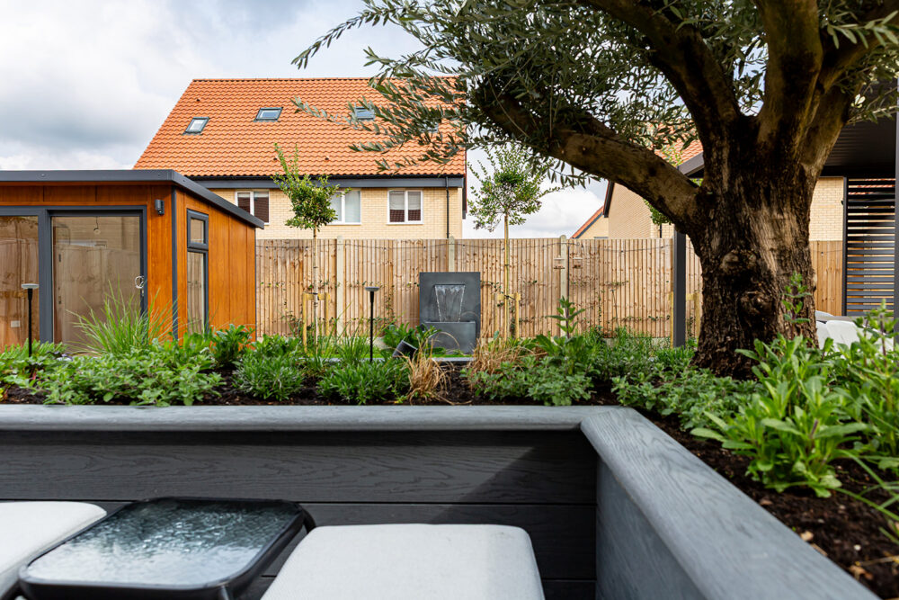 Sudbury, Suffolk - Olive Tree, Water Feature and Garden Room