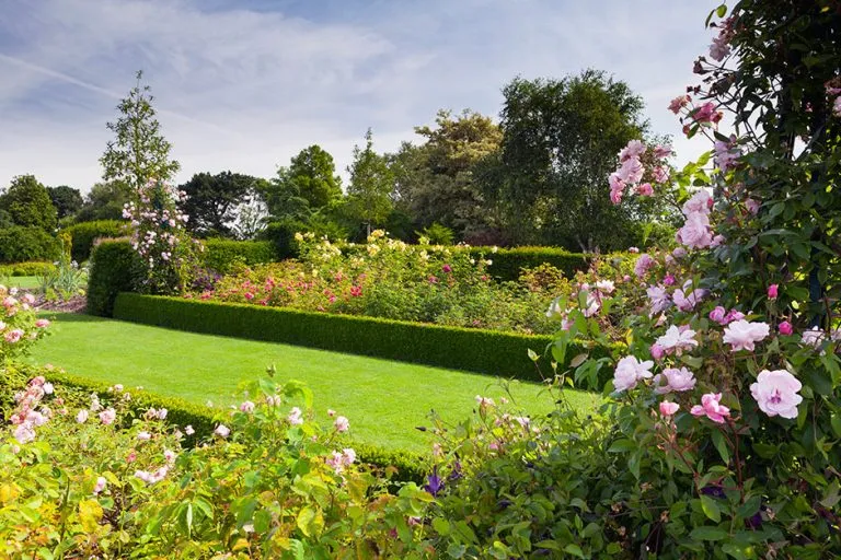 Garden Design in Essex: Sources of Inspiration